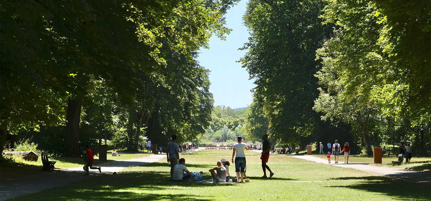 Des Longènes au Bois-Guillaume